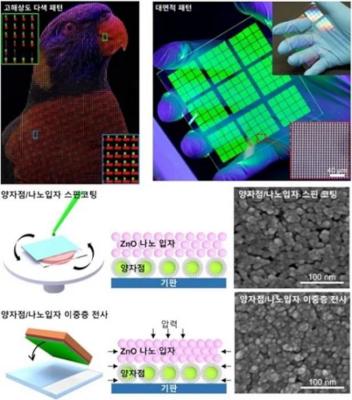 Double layer dry transfer printing of QD-EL devices - image